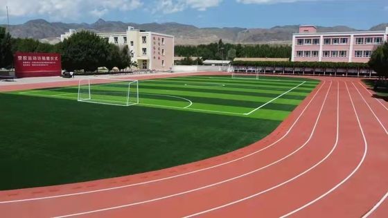 International Standard PU Athletic Rubber Running Track 13mm